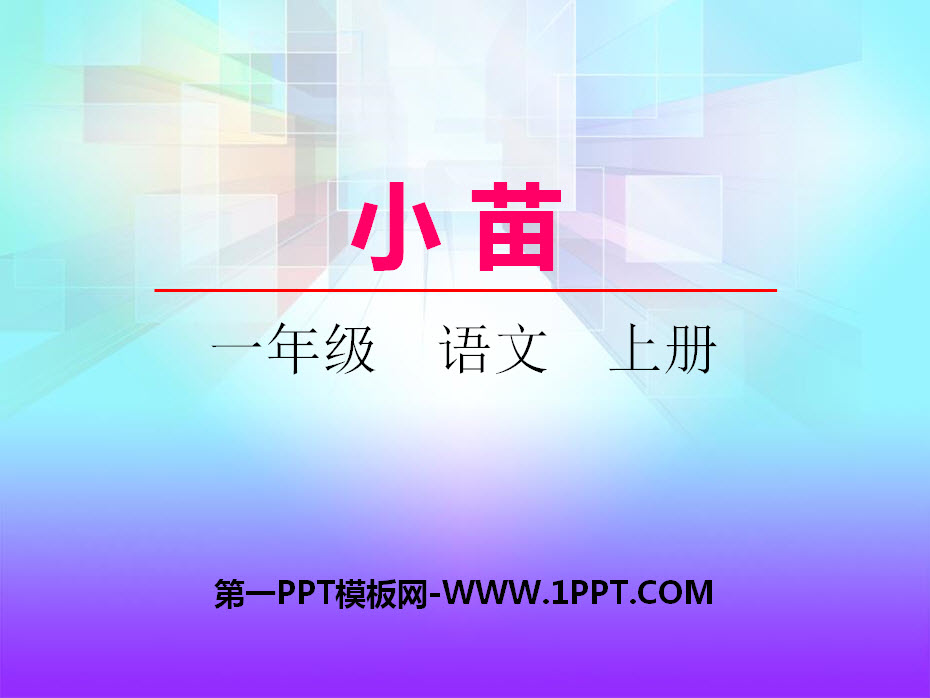 《小苗》PPT