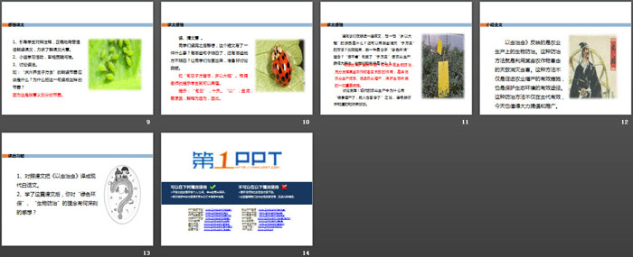 《以虫治虫》PPT