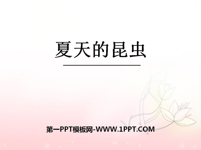 《夏天的昆虫》PPT