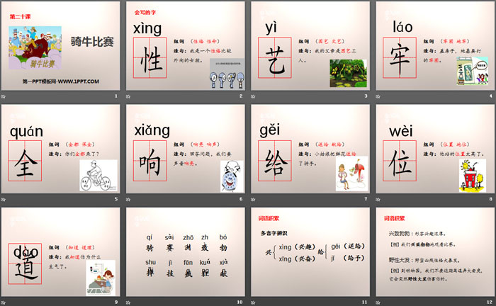 《骑牛比赛》PPT