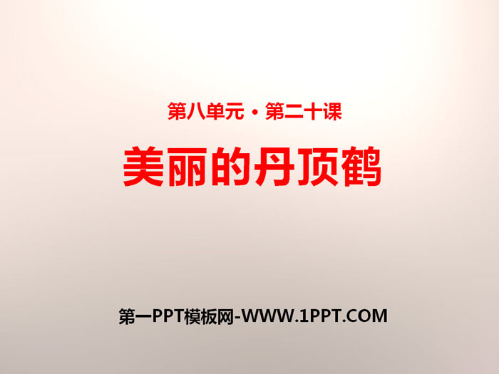 《美丽的丹顶鹤》PPT