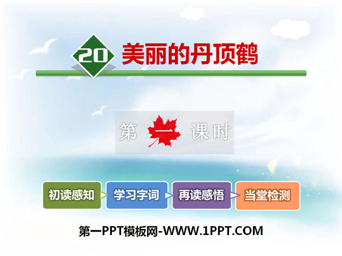 《美丽的丹顶鹤》PPT下载