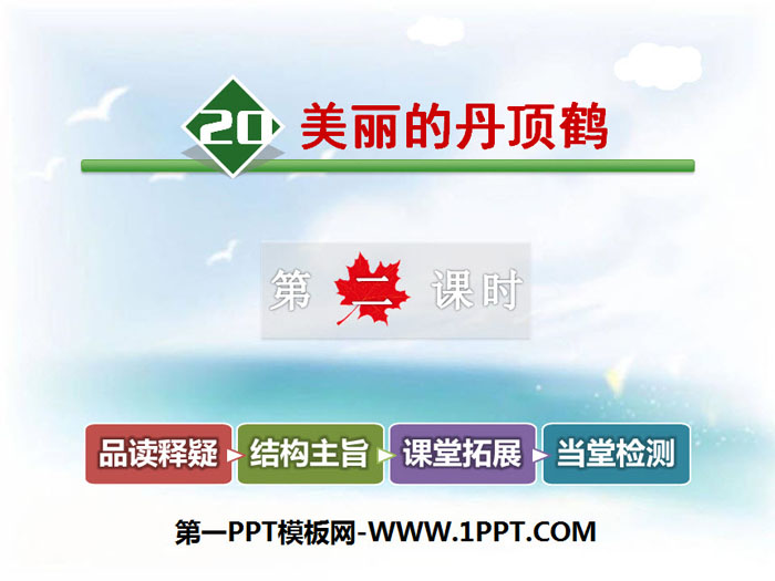 《美丽的丹顶鹤》PPT教学课件