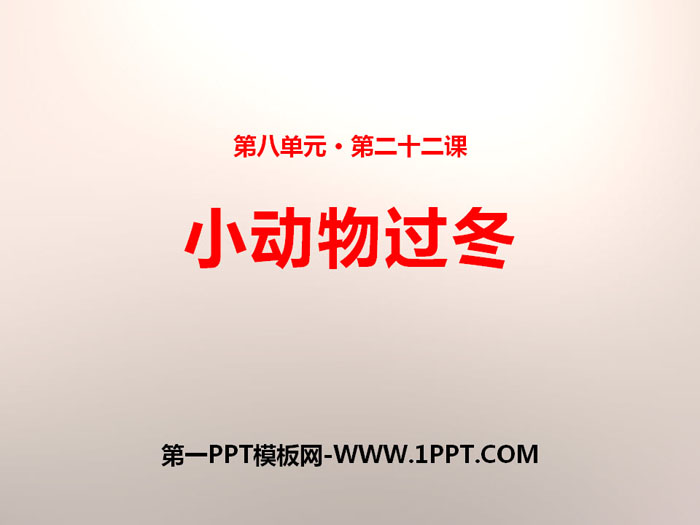 《小动物过冬》PPT