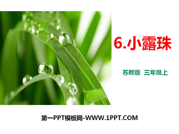 《小露珠》PPT