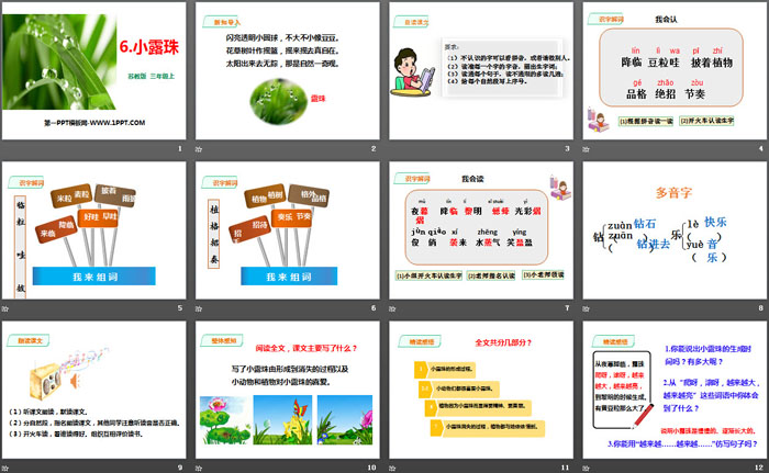 《小露珠》PPT