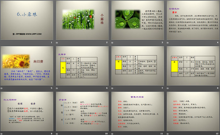 《小露珠》PPT下载