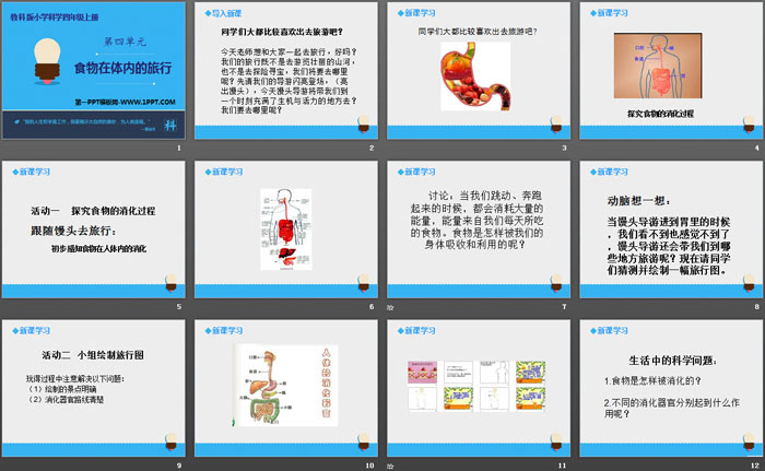 《食物在体内的旅行》我们的身体PPT下载