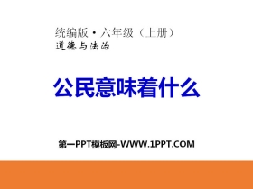 《公民意味着什么》我们是公民PPT课件