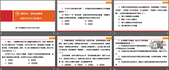 《维护公平正义》崇尚法治精神PPT(综合练习)