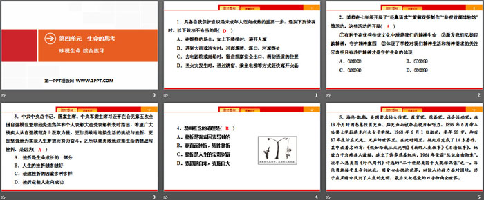 《珍视生命》生命的思考PPT(综合练习)