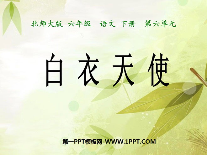 《白衣天使》PPT课件3