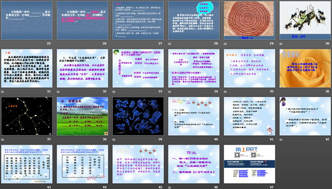 《大自然的文字》PPT课件