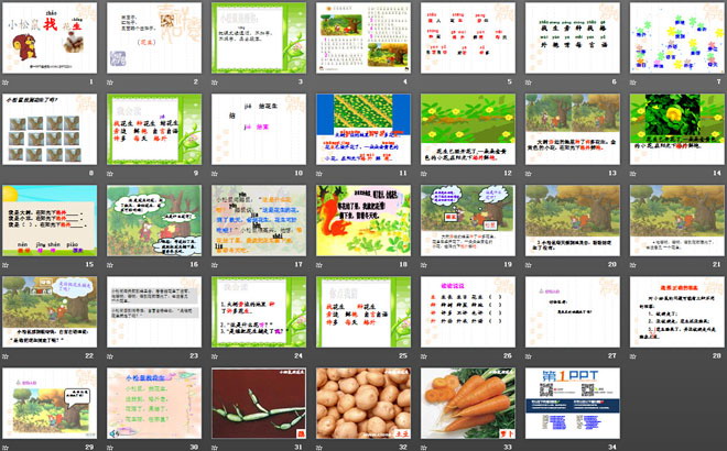 《小松鼠找花生》PPT课件7