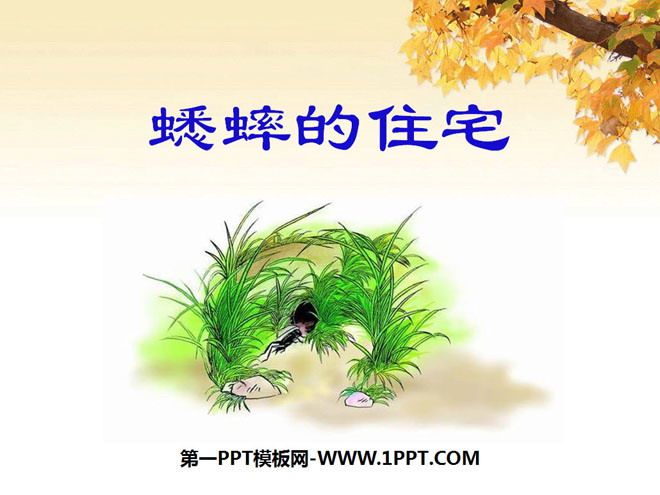 《蟋蟀的住宅》PPT课件7