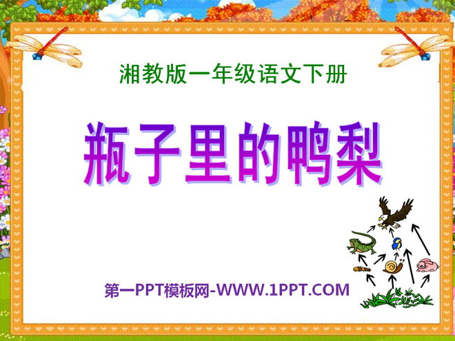 《瓶子里的鸭梨》PPT课件