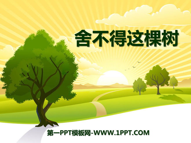 《舍不得这棵树》PPT课件5