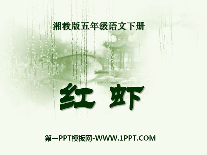 《红虾》PPT课件3