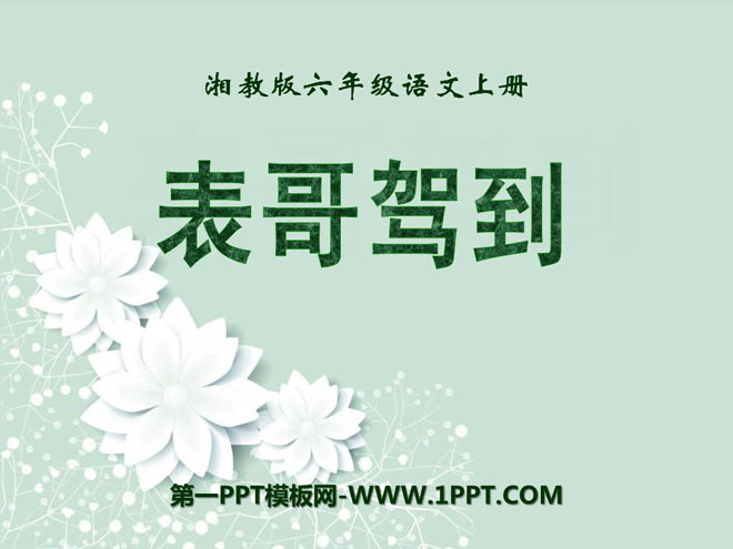 《表哥驾到》PPT课件2