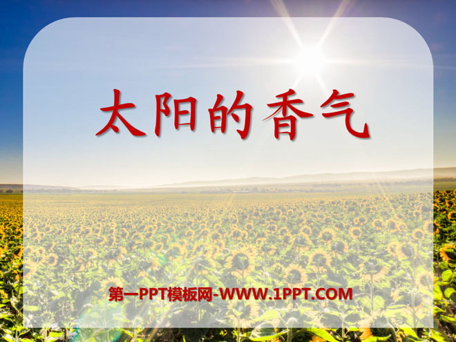 《太阳的香气》PPT课件