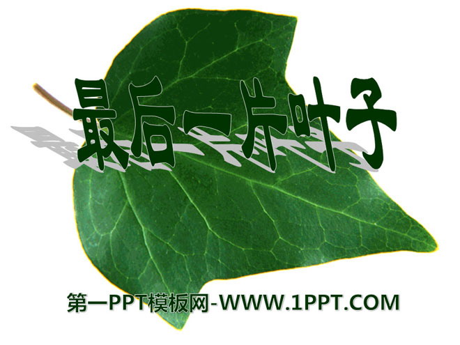 《最后一片树叶》PPT课件3