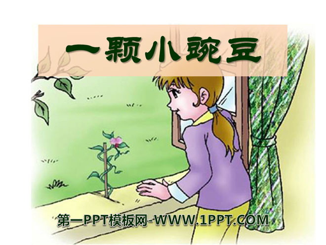 《一颗小碗豆》PPT课件2