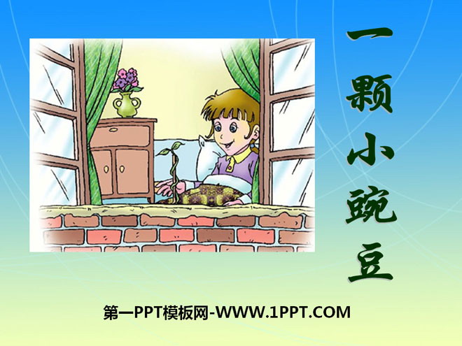 《一颗小碗豆》PPT课件3