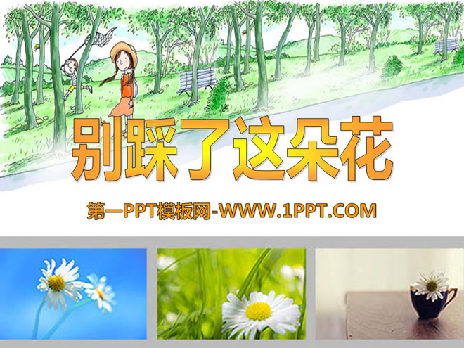 《别踩了这朵花》PPT课件5