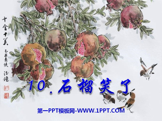 《石榴笑了》PPT课件3