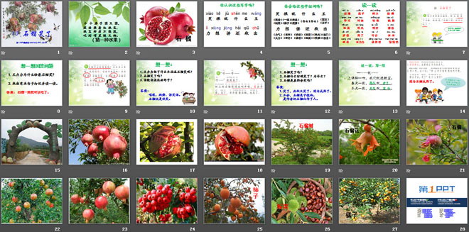 《石榴笑了》PPT课件3