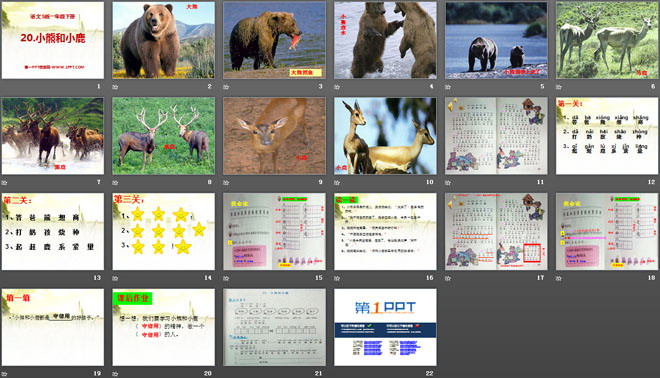 《小熊和小鹿》PPT课件4