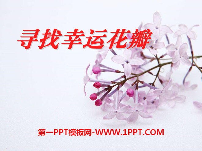 《寻找幸运花瓣》PPT课件6