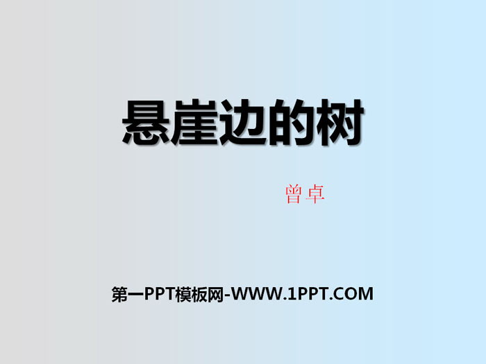 《悬崖边的树》PPT