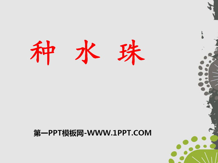 《种水珠》PPT