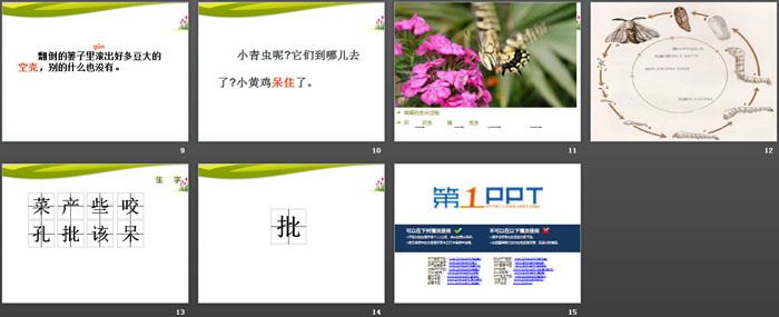 《篓里的青虫》PPT