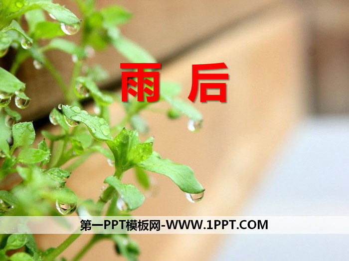 《雨后》PPT