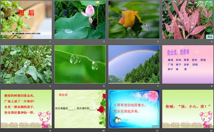 《雨后》PPT