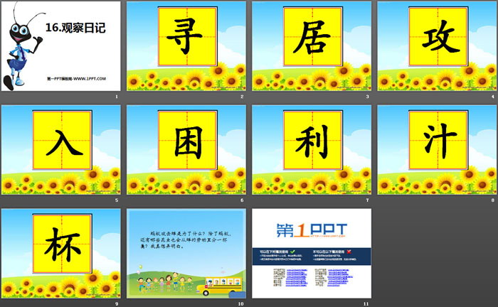 《观察日记》PPT