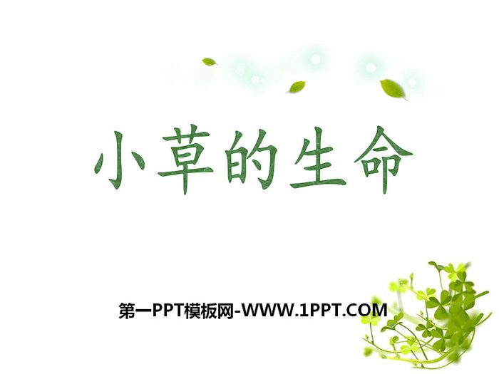 《小草的生命》PPT