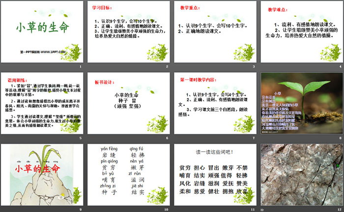 《小草的生命》PPT