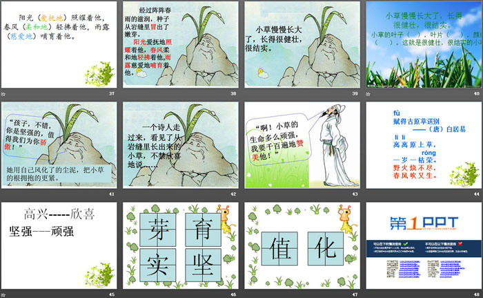 《小草的生命》PPT