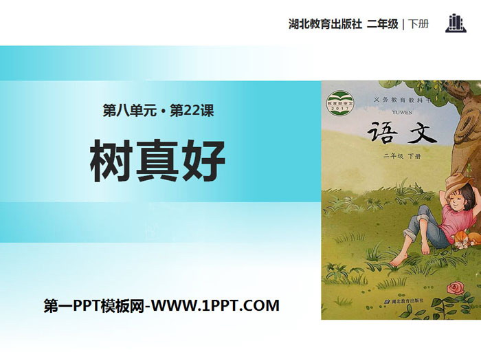 《树真好》PPT