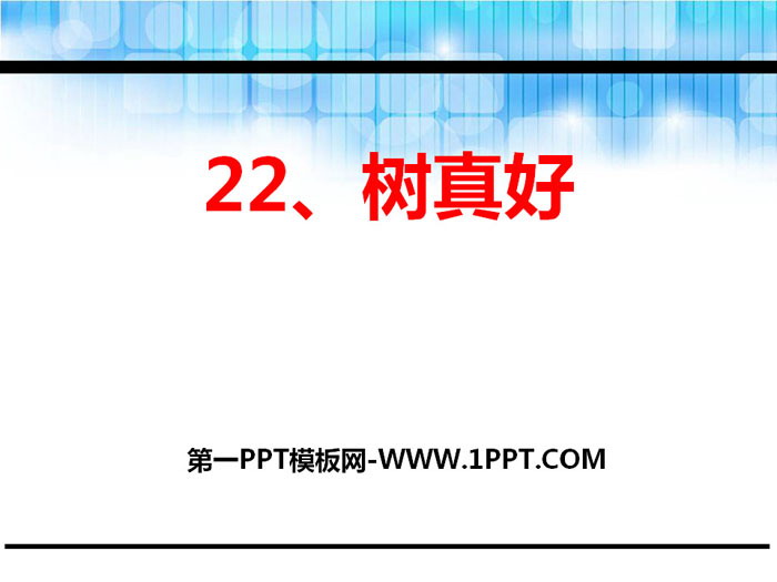 《树真好》PPT课件