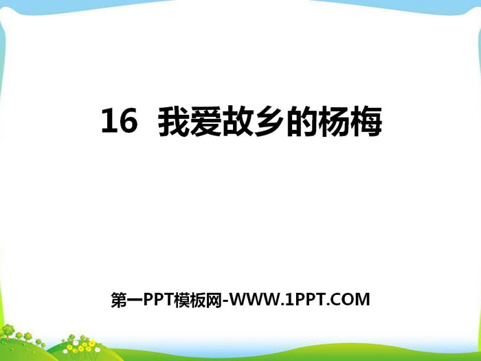 《我爱故乡的杨梅》PPT