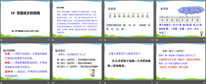 《我爱故乡的杨梅》PPT