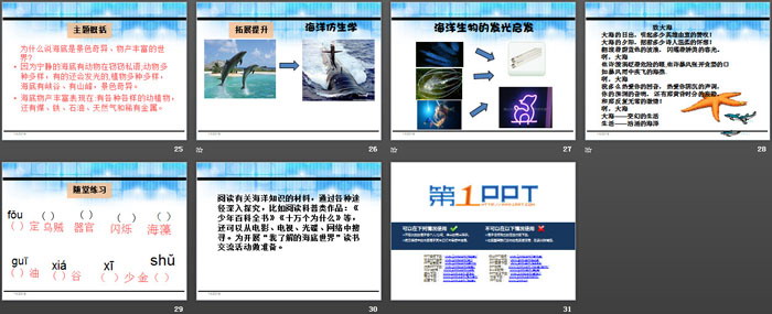 《海底世界》PPT教学课件