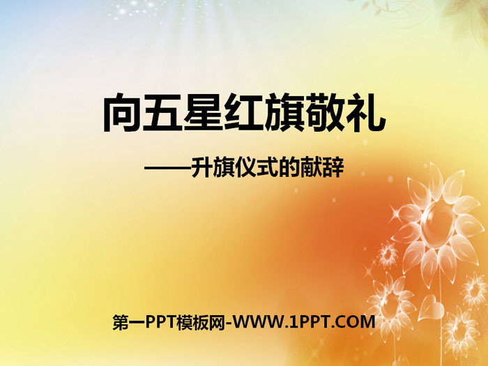 《向五星红旗敬礼》PPT课件