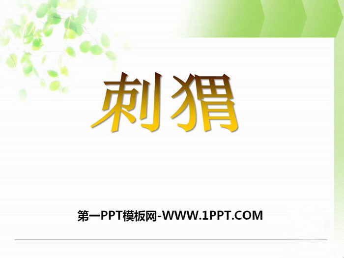 《刺猬》PPT