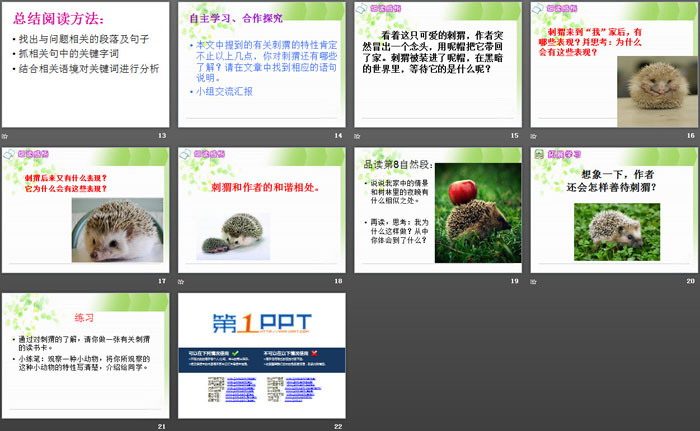 《刺猬》PPT