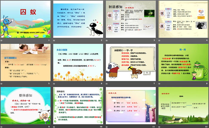 《囚蚁》PPT